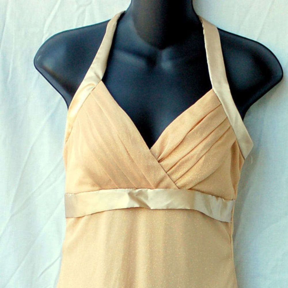 Vintage Gold Sparkling Dress